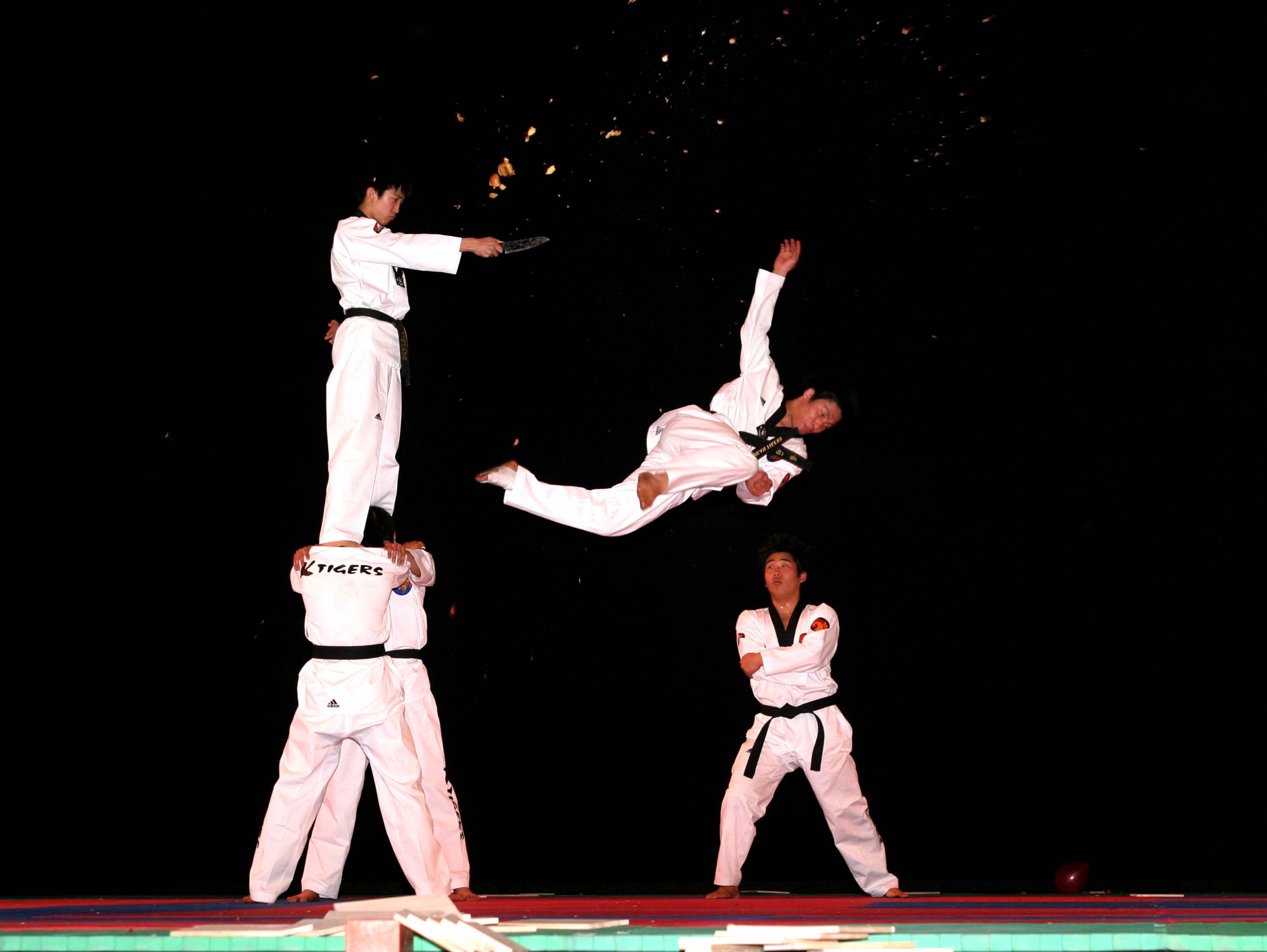 One-on-one martial arts coaching